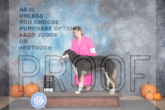 Borzoi #20 Sat WBM Judge Leonore Abordo__JP_8694_Humble_2024_HR3