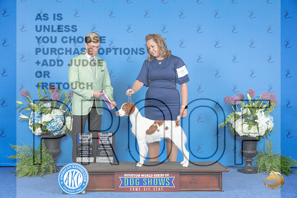 Brittany #8 THUR BOW BOS NC M Judge Douglas Johnson__JP_8121_Houston_2024_HR3