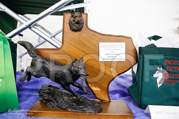 _ST_4154-AddisonHuskyMar2015-HR3