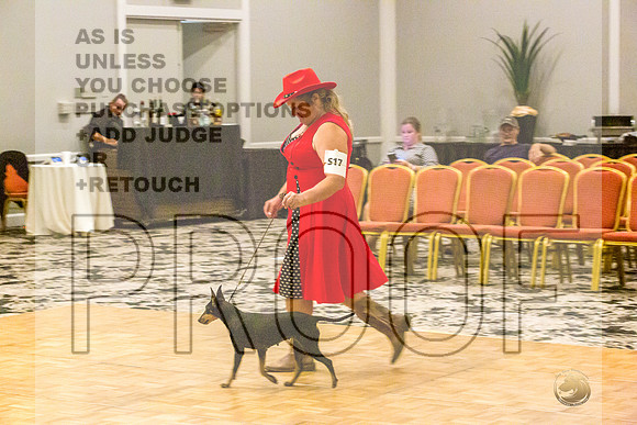 Manchester Terrier MTOY Candids-JJL_2274-Hstn2022_HR3