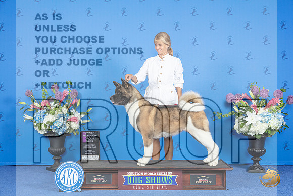 Akita #8 FRI OHG1 Judge Nancy Liebes__JP_9400_Houston_2024_HR3