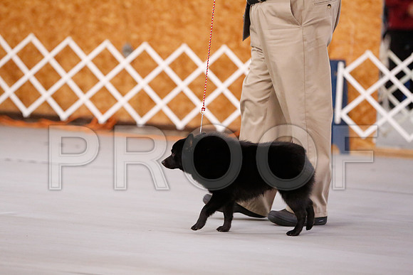 _RH_7569-CarlrolltonSept2014-HR3