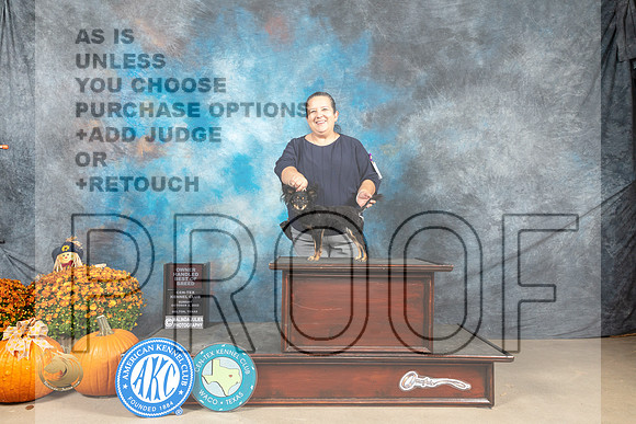 Russian Toy #8 Sun OHBOB Judge Shelley Hennessey_MJ_6860_Belton_2022_HR3