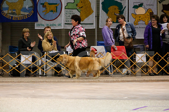 BestVet-7176-WFOct2013-HR