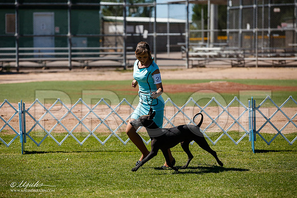 _JJ_8339-AlamogordoOct2014-HR3