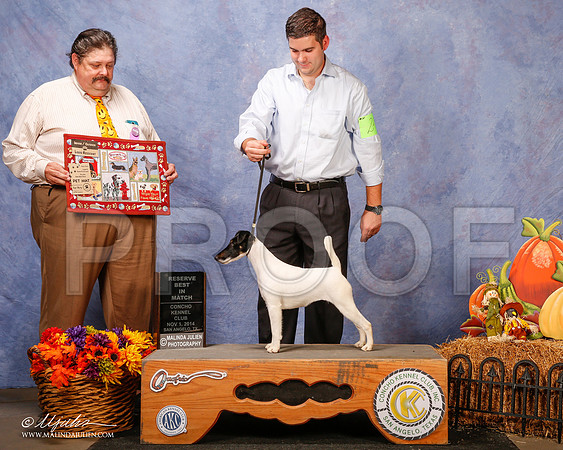 _CL_4570-3-SanAngelo2014-HR3