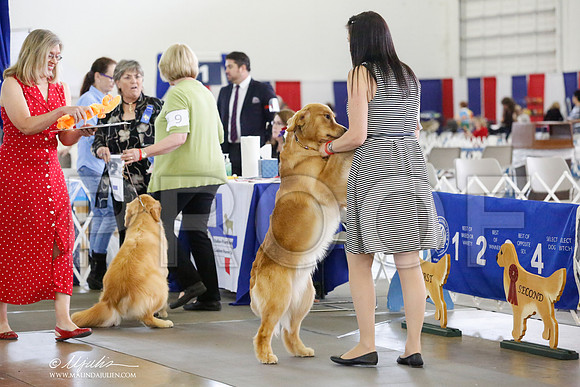 _RH_6903-DallasJul2014-HR3