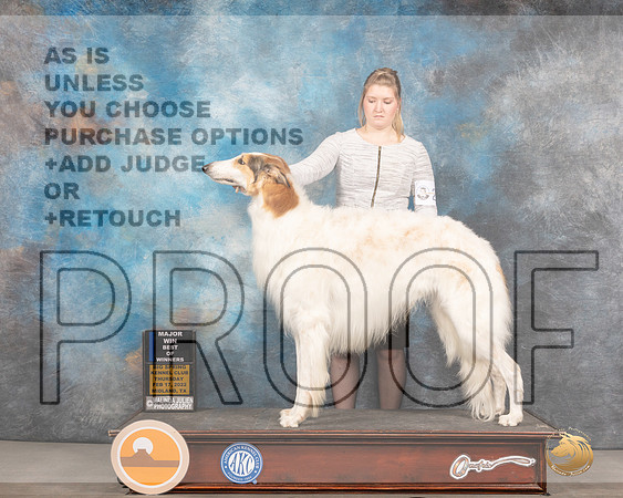 Borzoi #23 Thurs BOWWB Judge Donnell RichardsMMJ_2280_Mdlnd2022_HR3