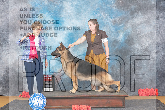 German Shepherd #5 Sat G2 Judge Pat Trotter__JP_0142e_SulphurSprings2024-HR3