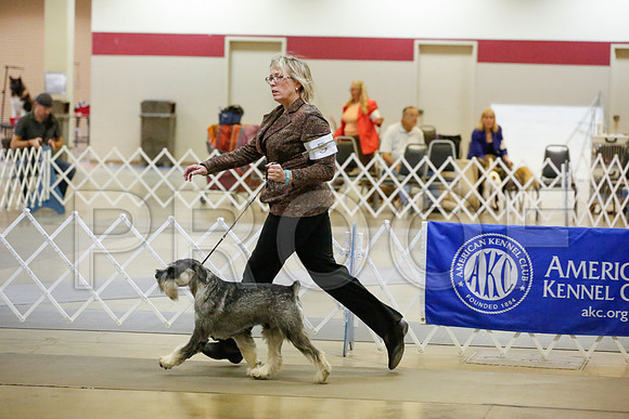 _JJ_9443-AmarilloSept2014-HR3