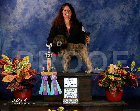 PdMC-8876-NormNov2013-HR
