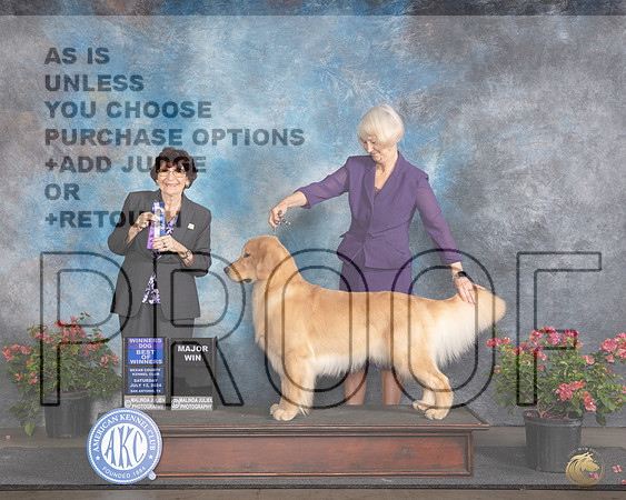 Golden Retriever #11 Sat WDBOWM Judge Wendy G Willhauck__JP_5166e_San Antonio_2024-HR3.jpg
