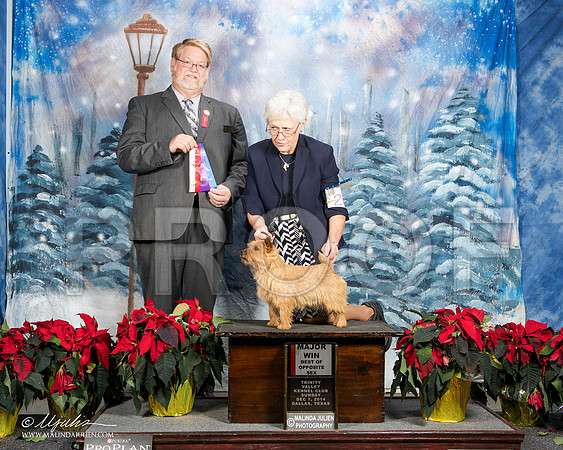_ST_9231-DallasDec2014-HR3