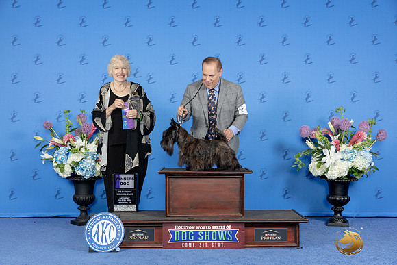 Scottish Terrier #5 SAT WD Judge Nancy Liebes_JP_0057e_Houston_2024-HR3