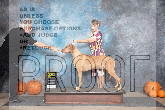 Rhodesian Ridgeback #9 Fri G3 Judge Ann Meyer__JP_9113_Humble_2024_HR3