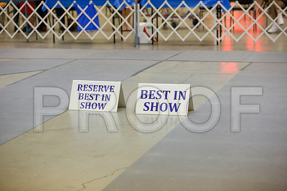 _JJ_0832-AmarilloSept2014-HR3