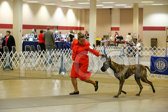 _JJ_8475-AmarilloSept2014-HR3