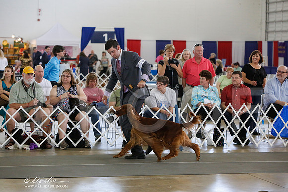 _JJ_1295-DallasJul2014-HR3