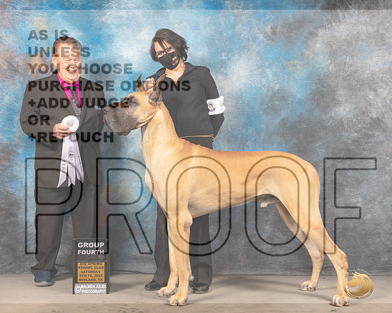 Great Dane #9 Sat G4 Judge Del RichardsMMJ_4539_Mdlnd2022_HR3