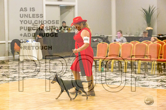 Manchester Terrier MTOY Candids-JJL_2275-Hstn2022_HR3