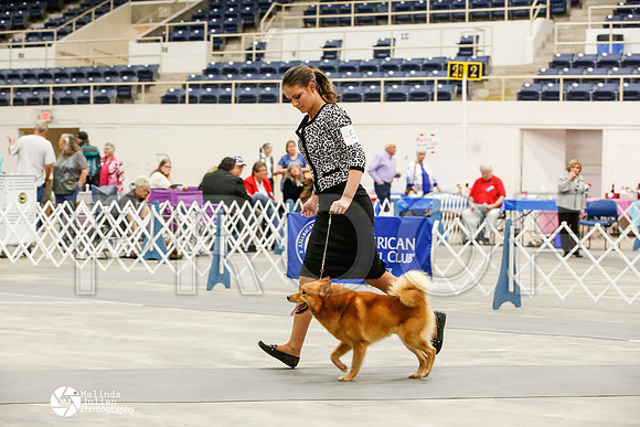 _JJ_0369-AblnMay2014-web