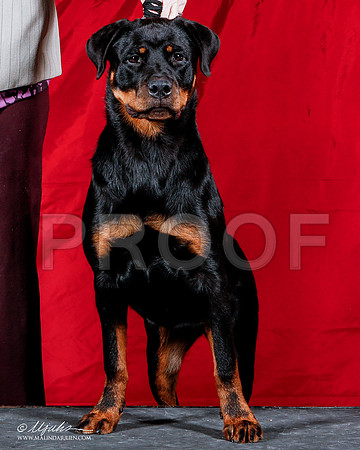 _ST_1767-2-AmarilloSep2014-HR3