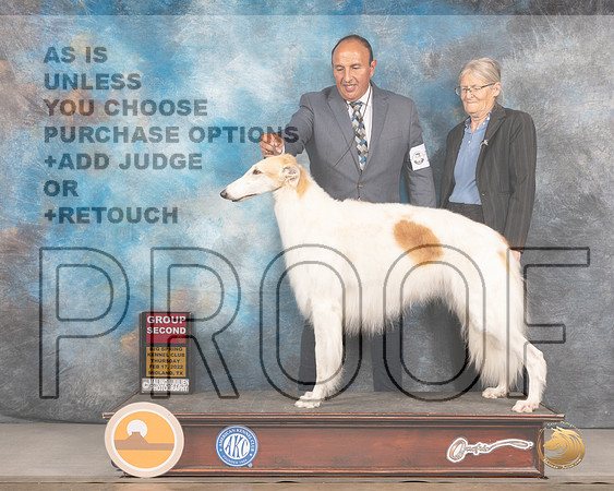 Borzoi #10 Thurs G2 Judge Donnelle RichardsMMJ_2412_Mdlnd2022_HR3