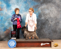 Cairn Terrier #9 Fri G2 Judge Pat Trotter