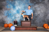 Italian Greyhound #5 Sat G2 Judge Ray Filburn