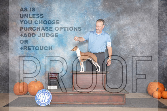 Italian Greyhound #5 Sat G2 Judge Ray Filburn__JP_9474_Humble_2024_HR3