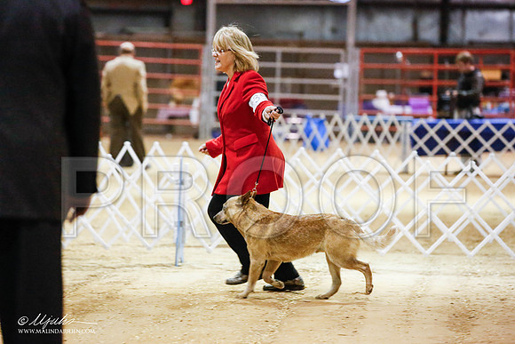 _JN_4046-2-GlenRoseJan2015-HR3