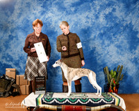 Whippet #16 Sat G4 +A1
