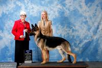 German Shepherd #5 Sun BOW Atkinson Lana R Judge Mrs Murrel Purkhiser