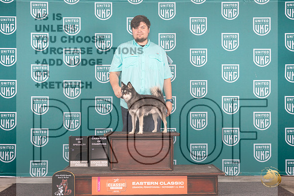 Alaskan Klee Kai # Thur COCBOB Judge Tony Raposo__JP_1787_UKCEastern_2024_HR3