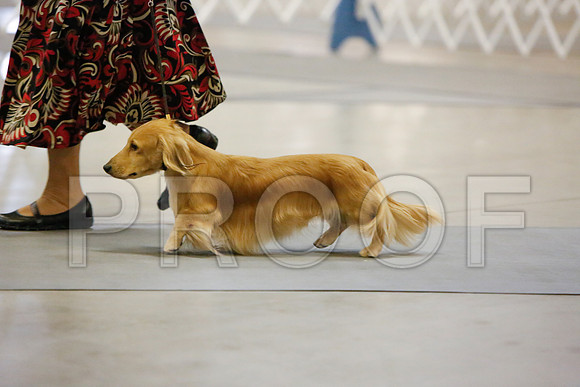 _JJ_2867-AmarilloSept2014-HR3