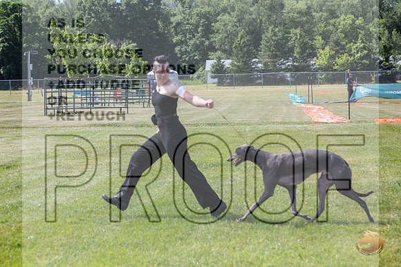 Greyhound #104 Wed_JJL_1688_Premier_2024_HR3