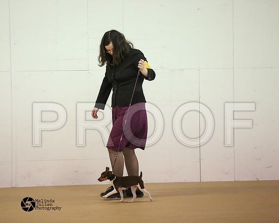 AmHrlss-9801-HtoJan2014-HR3