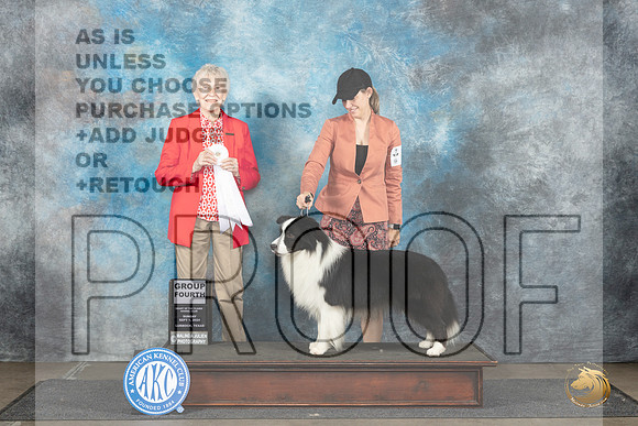 Border Collie #5 Sun G4 Judge Sharon Newcomb__JP_3983_Lubbock_2024_HR3