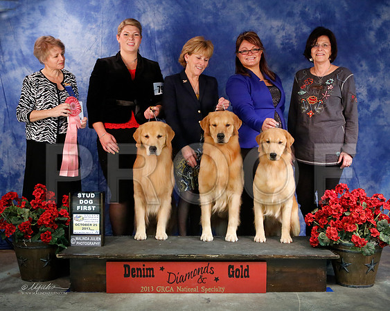 StudDog-8390-WFOct2013-HR