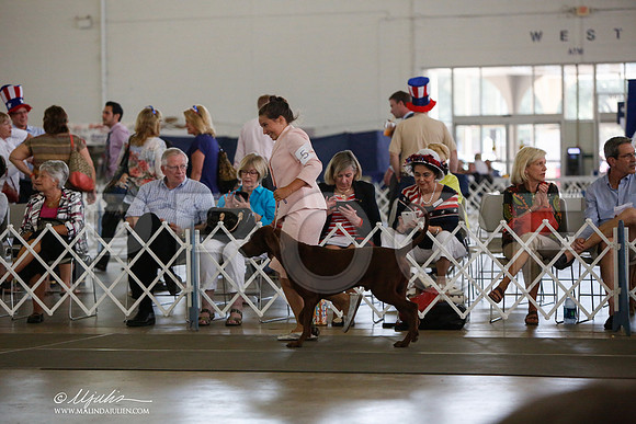 _JJ_2684-DallasJul2014-HR3