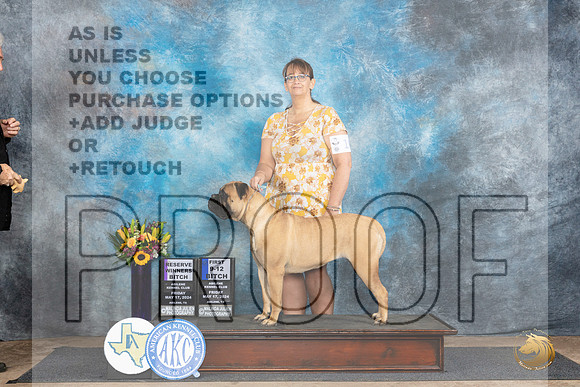 Bullmastiff #10 Fri RWB1 Judge Rick Gschwender__JP_9159_Abilene_2024_HR3