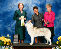 #9 Best Veteran Sat Bruce Barnes Margit Brand Johanna Coutu Lauren Jordan Judge Sheila Kanzler