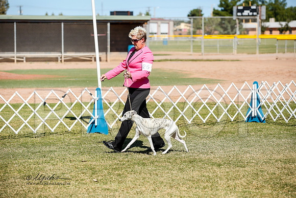 _JJ_2897-AlamogordoOct2014-HR3