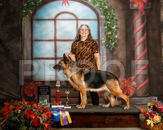 _ST_7128-2-NrmnNov2014-HR3
