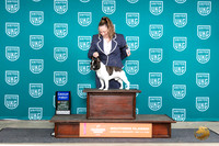 French Bulldog #203 Fri G1 Judge Mary Ellen Meyer