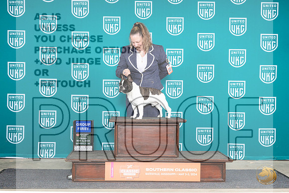 French Bulldog #203 Fri G1 Judge Mary Ellen Meyer__JP_6370_BatesvilleMS_2024_HR3