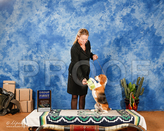 _ST_1183-2-GlenRoseJan2015-HR3