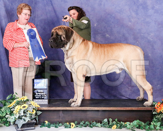 _M3_7614-BgSprngMay2014-HR3