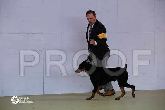 Dobe-6067-HtoJan14-HR