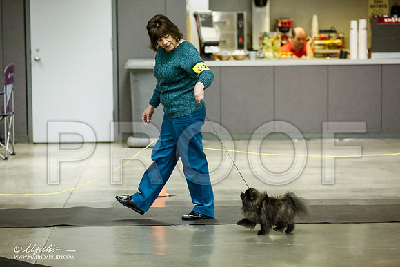 _JJ_5432-BeltonJan2015IABCA-HR3